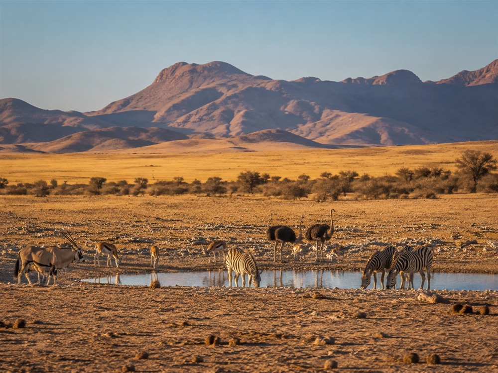 Kiedy jechać do Namibii