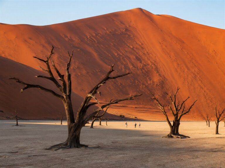 Sossusvlei i Deadvlei